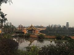 -西木兔(大圆祥店)
