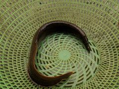 -聚友缘美食农庄