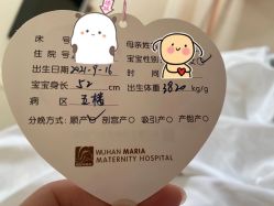 -玛丽亚妇产医院