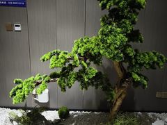 -沐森澜·轻奢足道·养生·SPA