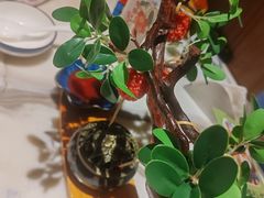 -唐猫庭院·千年陕菜(大唐不夜城店)