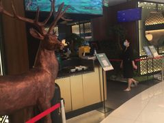 -新白鹿餐厅(虹桥南丰城店)