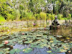 -中国科学院西双版纳热带植物园