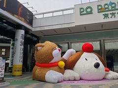 -PO PARK东方宝泰