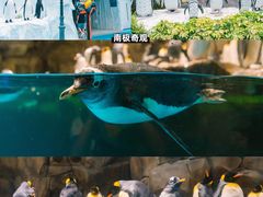 -香港海洋公园