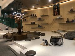 -飞行喵MR PILOT|猫舍·猫咖(静安大融城店)