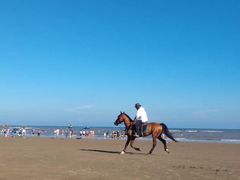 -南澳海滩