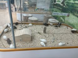 -小象动悟公园(龙湖亦庄天街店)