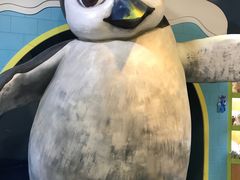 -亚特兰蒂斯水世界冒险乐园