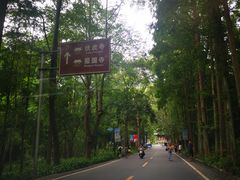 -峨眉山风景名胜区
