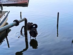 -春晖园度假酒店温泉