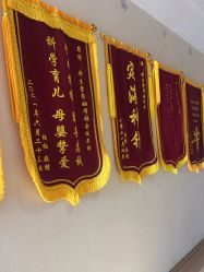 -米诺娃妇女儿童医院·三级妇儿医院