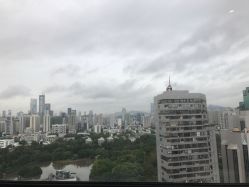 -藤野造型