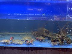 -白仁仔· 活烤海鲜 宵夜(豫园店)