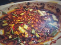 -山东水饺(南坪新街店)