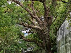 -桂林灵渠景区