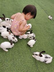 -萌宠亲子动物乐园(槐房万达店)