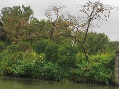 -西溪国家湿地公园