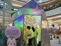 -深圳龙华星河COCO City(民治店)