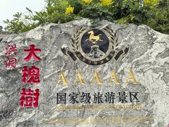 -大槐树寻根祭祖园