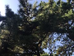 -东北大学(南湖校区)