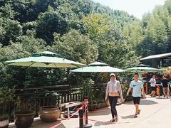 -将军关探险漂流