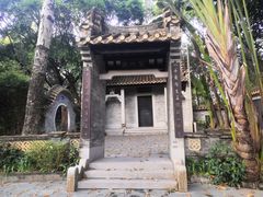 -深圳国际园林花卉博览园