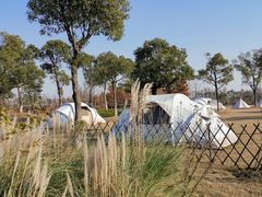 -上海长兴岛郊野公园