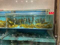 -大鹅岛灶台鱼·铁锅炖(水库路店)