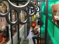 -猫咪博物馆(顶澳仔猫街店)