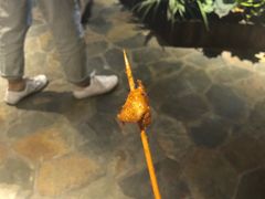 -乐彡炸串·烤苕皮(西单华威约饭街店)
