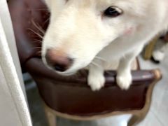 -伽利略剧本探案馆(国贸店)