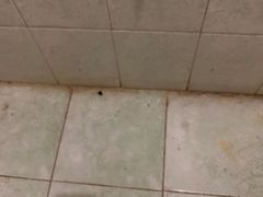 -Al Salam莫的三明治