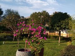 -瑞博尔花园酒店(太周创新产业园店)