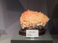 -湖南省地质博物馆