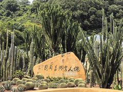 -深圳仙湖植物园