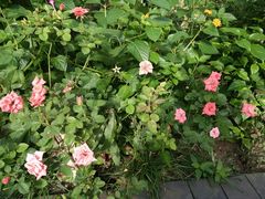 -小草屋轰趴馆别墅派对新场团建家庭聚会