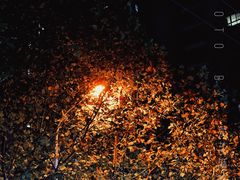 -查令84号咖啡馆(金大地1912东西街店)