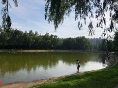 -森林公园(尖草坪区)