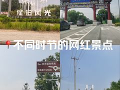 -白洋淀景区