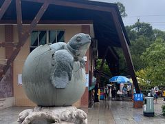-广东惠东海龟国家级自然保护区