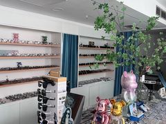 -视野联行眼镜·蔡司·依视路(省体育馆店)