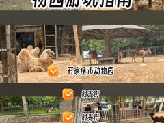 -石家庄市动物园