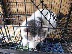 -四季暖堂·融合江浙菜(N1955创业园店)