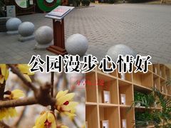 -丰台花园