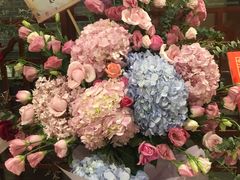 -裕和堂中医推拿艾灸(太古汇臻品店)