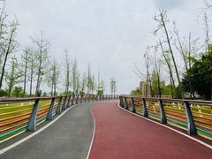 -府河摄影公园