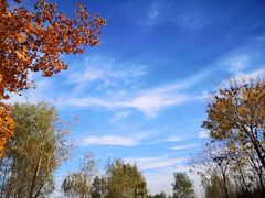 -东郊湿地公园