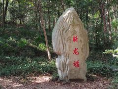 -上海佘山国家森林公园天马山园