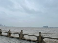 -观澳平台